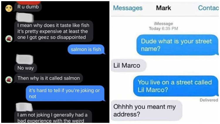 15 Examples That People Should Have Rechecked Before Sending Their Messages