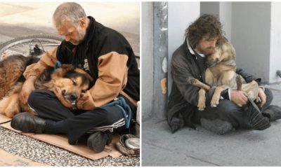 15 Heartwarming Photos of the Unbreakable Affection Between a Man and His Dog