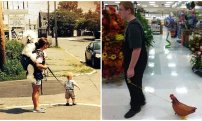 15 Hilarious Moments of People Doing Weird Things in Public