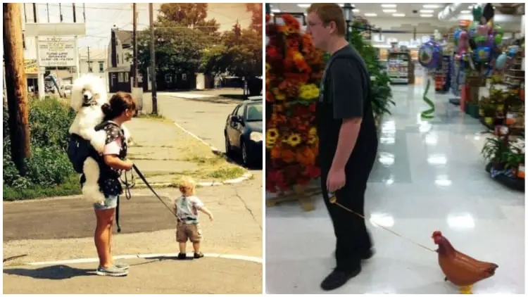 15 Hilarious Moments of People Doing Weird Things in Public