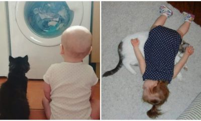 20 Adorable Pictures of Little Ones with Their Kitten Friends