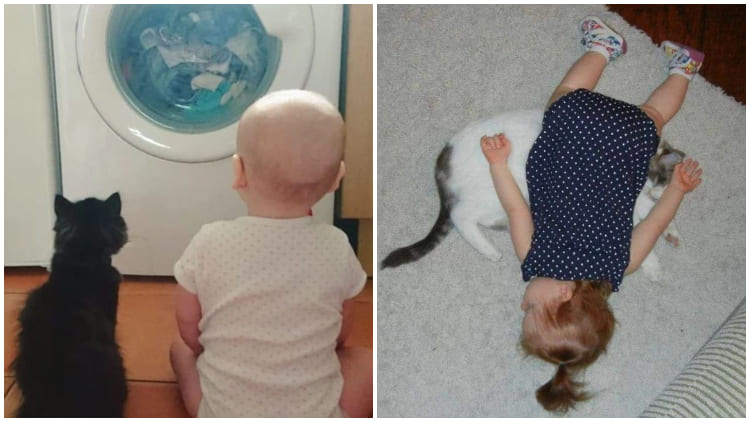 20 Adorable Pictures of Little Ones with Their Kitten Friends