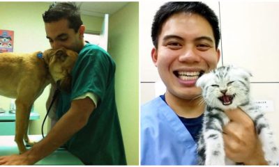 20 Heartwarming Moments of Working at an Animal Hospital