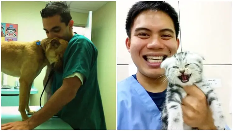 20 Heartwarming Moments of Working at an Animal Hospital