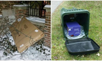 20 Hilarious Delivery Fails to Brighten Your Day