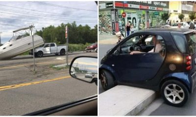 20 Hilarious Parades of Awful Drivers That Will Leave You Speechless