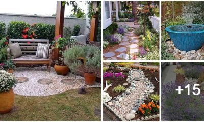 20 Shimmering Landscaping Ideas for Your Small Front Yard