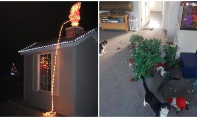 23 Funniest Christmas Fails That Will Make You Feel Better About Your Holiday Blunders