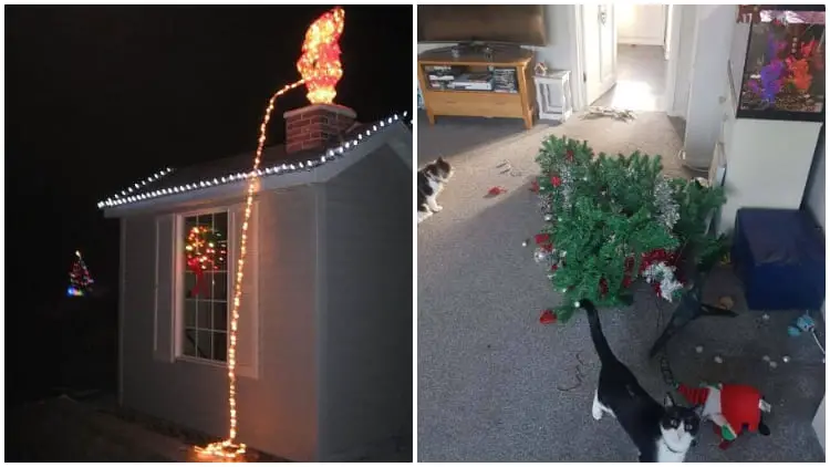 23 Funniest Christmas Fails That Will Make You Feel Better About Your Holiday Blunders