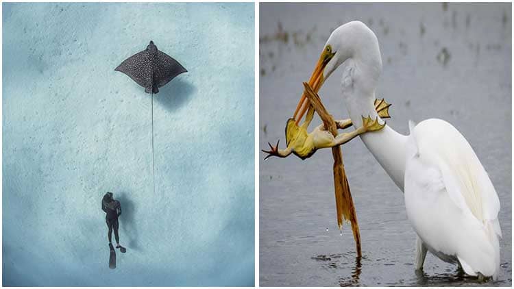 28 Instagram Posts Honored in National Geographic Competition