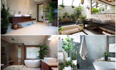 30 Clever Ways to Use Plants In Your Bathroom