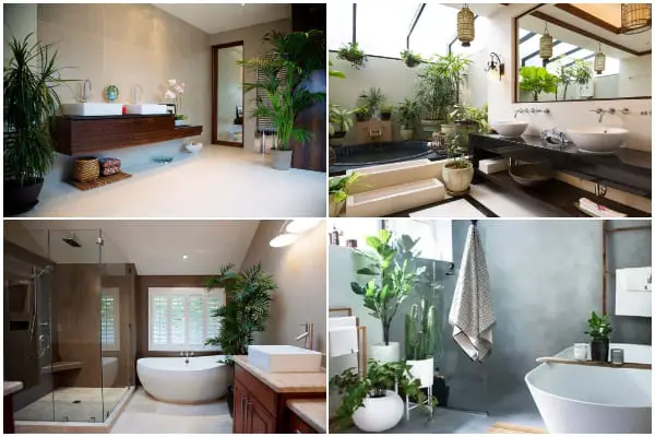 30 Clever Ways to Use Plants In Your Bathroom