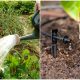 7 Right Watering Ways for Vegetable Garden