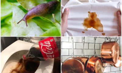 8 Amazing Coca-Cola Uses