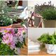 9 Best Houseplants That Help in Relieving Your Stress