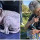 Adorable Puppy Found in a Graveyard Has the Most Heartwarming Reaction When Reunited with His Rescuers