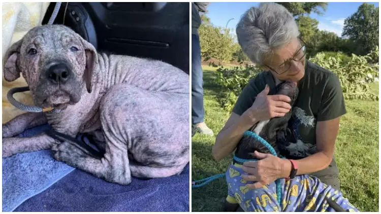 Adorable Puppy Found in a Graveyard Has the Most Heartwarming Reaction When Reunited with His Rescuers