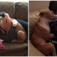 Affectionate Pit Bull Keeps Embracing His Owner Who Saved Him from a Shelter