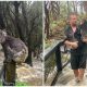 Australian Animal Sanctuary Races To Rescue Animals After Heavy Rain-induced Sudden Floods