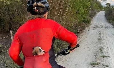 Biker Saves Abandoned Puppy and Brings Him Home in Her Jacket Pocket