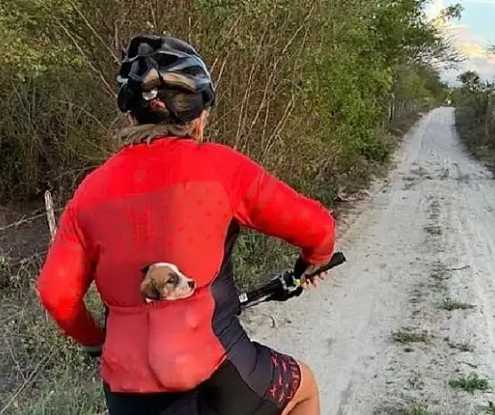 Biker Saves Abandoned Puppy and Brings Him Home in Her Jacket Pocket