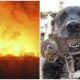 Brave Dog Didn't Hesitate To Rush Through The House Fire To Save His Little Kitten Buddy