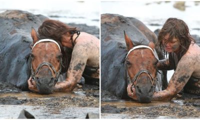 Brave Mother's Fight to Rescue Her Horse from Sinking Mud After Hours of Struggle