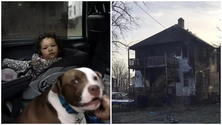Brave Pitbull Rescues 1-Year-Old Baby from Burning House
