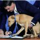 Brazilian President's Dog Signs Law to Stop Hurting Animals