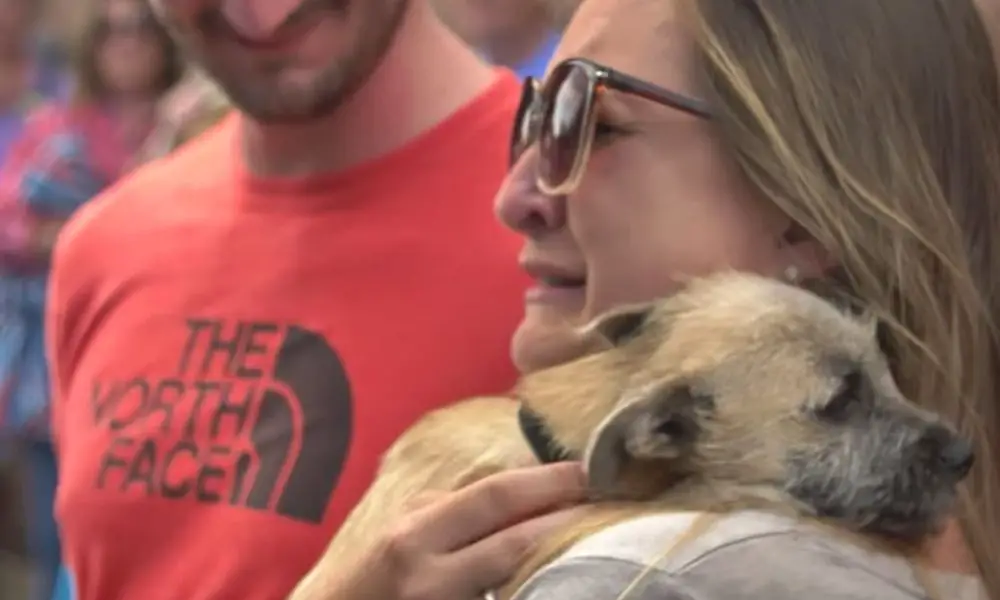 Couple Adopts Rescue Dog Before Meeting Him, But Tears Of Joy Flow When They Meet