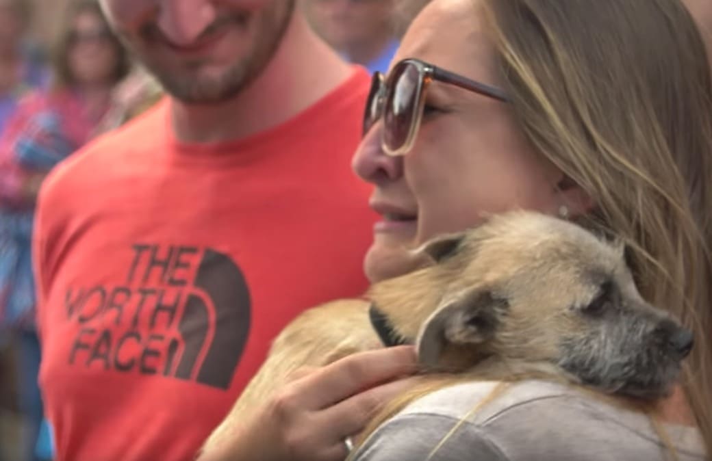 Couple Adopts Rescue Dog Before Meeting Him, But Tears Of Joy Flow When They Meet