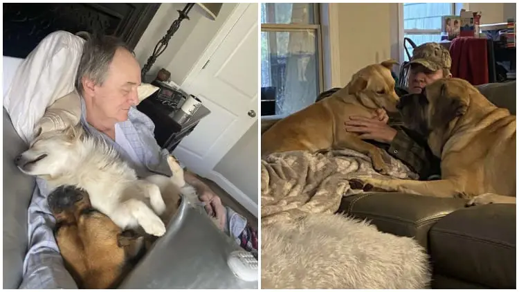 Daughter Feels Heartwarming When Walking In The Door And Seeing Her Dad Napping with All the Neighbor Dogs