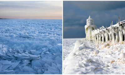 Frozen Lake Michigan Turns into Enchanting Winter Wonderland