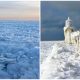 Frozen Lake Michigan Turns into Enchanting Winter Wonderland