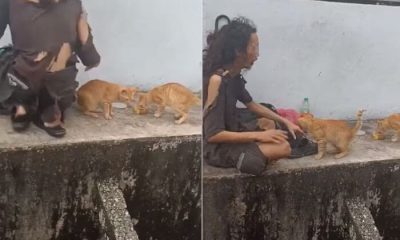 Kind-hearted Man Frequently Shares Food with Stray Cats Before Eating