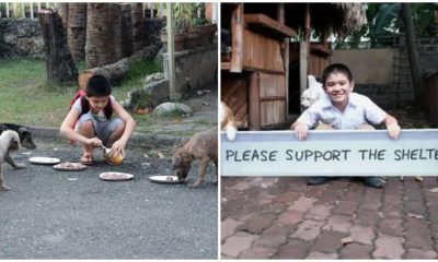 Kindhearted 9-year-old Boy Uses Pocket Money To Feed Homeless Dogs And Later Fundraises To Open An Animal Shelter