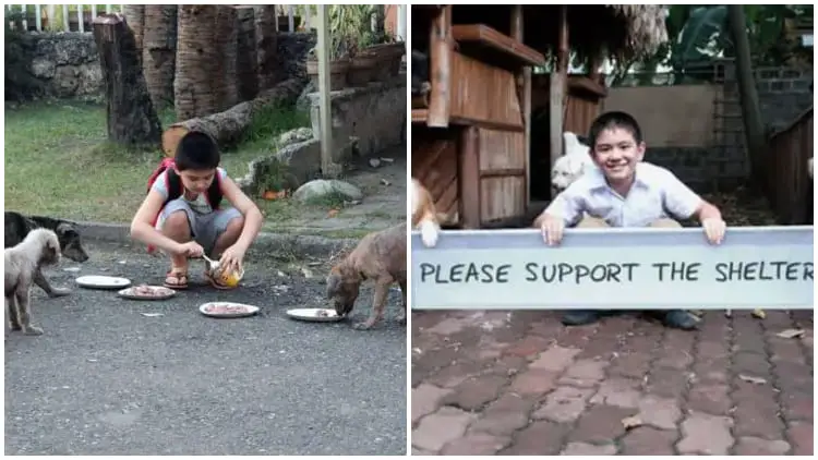 Kindhearted 9-year-old Boy Uses Pocket Money To Feed Homeless Dogs And Later Fundraises To Open An Animal Shelter