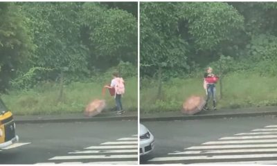 Kindhearted Girl Rescues a Homeless Dog While Returning From School