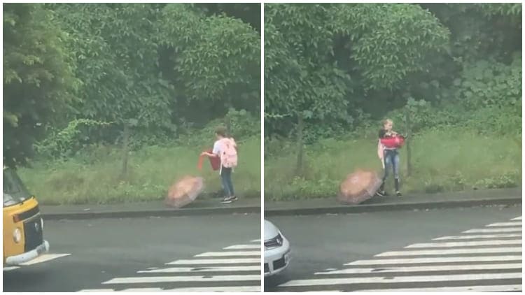 Kindhearted Girl Rescues a Homeless Dog While Returning From School