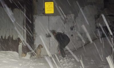 Kindhearted Police Officer Braves Heavy Snow To Rescue Lost Dog