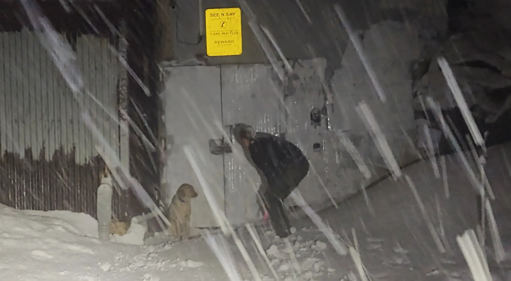 Kindhearted Police Officer Braves Heavy Snow To Rescue Lost Dog