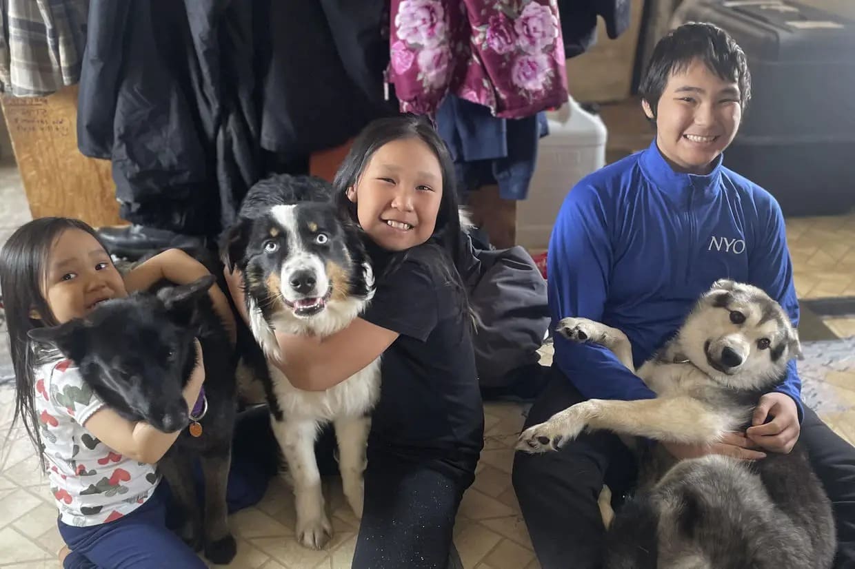 Lost Dog Roams 150 Miles Across Frozen Alaskan Waters to Reunite with Loving Family