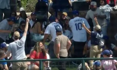 Lovely Dog Steals Spotlight at Baseball Game by Catching Home Run Ball