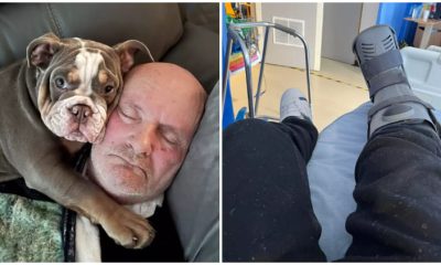 Loyal Puppy Saves Owner's Life by Chewing His Toe While He Slept