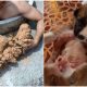 Man Rescues Five Tiny Puppies Trapped in Mud at the Bottom of a Well When Hearing Faint Cries