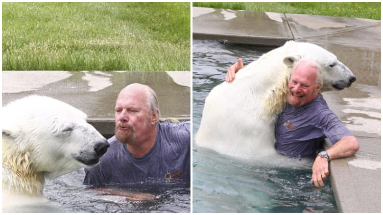 Man Swims with His White Bear Friend of Over Two Decades