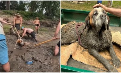 Men at Bachelor Party Rush to Help When They See a Head Sticking Out of Mud