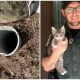 Officer's Assistance Made A Ladder to Help Mario the Kitten Escape from a Pipe By Leveling Up