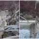 Photographer Uses Drone to Take Pictures of Three Bobcats