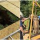 Rescuers Unite With The Entire Effort To Save Trapped Donkey From Sinkhole